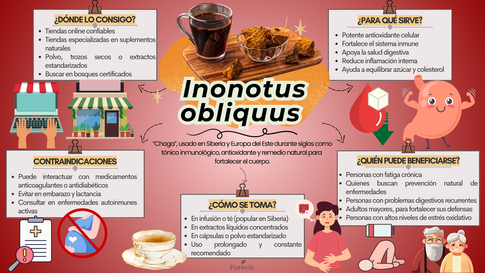 Mapas hongos-B 0 a 3 (1)