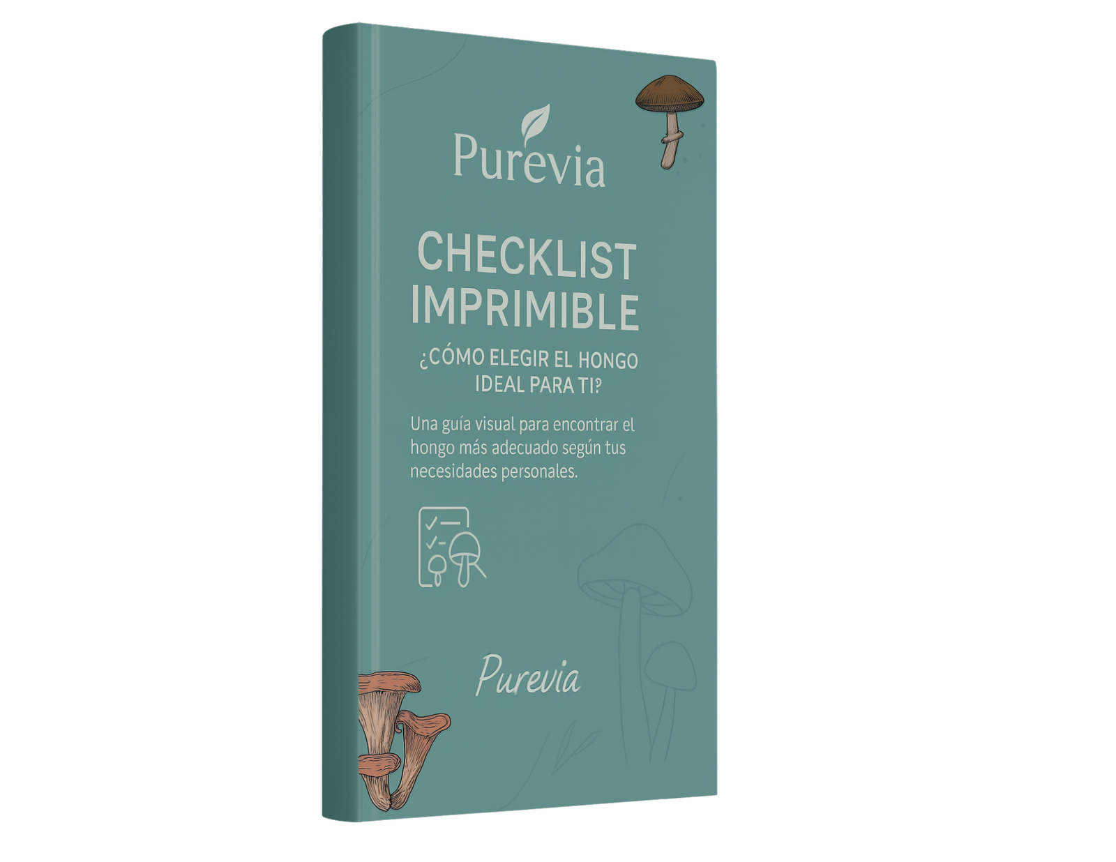 Mockups (20)